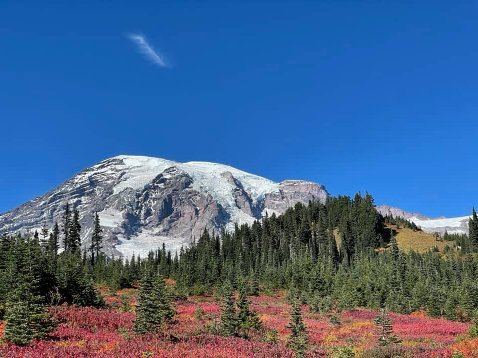 Paradise at Mt. Rainier in autumnhues