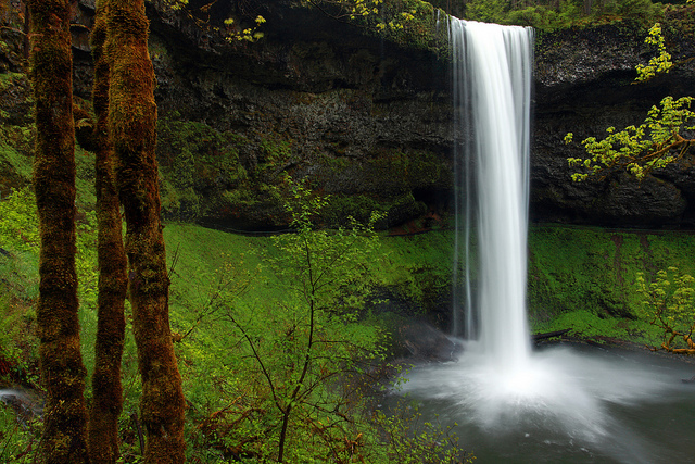 Silver Falls State Park by Ian San via Flickr Creative Commons