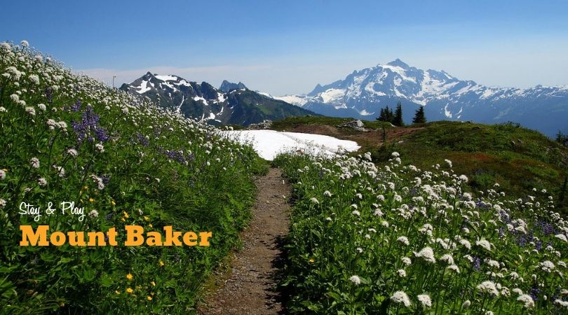 STAY & PLAY:: Mount Baker