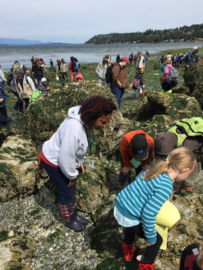 Tide Pool Party: Where to Spot Cool Marine Life Near Seattle