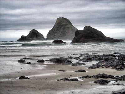 Oceanside Oregon, Three Arch Rocks National Wildlife Refuge by connectologist