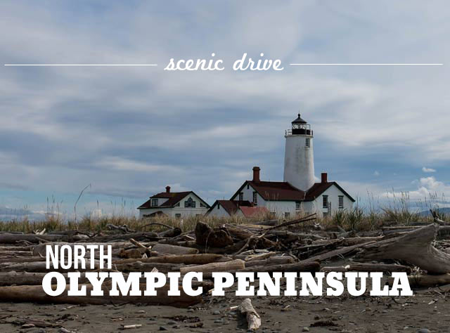 Road Trip: North Olympic Peninsula