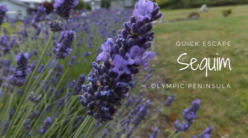 Quick Escape: Sequim on the Olympic Peninsula