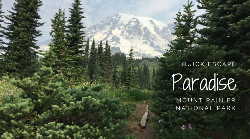 Quick Escape: Paradise at Mount Rainier National Park