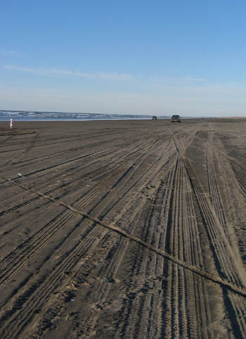 beachtiretracks_longbeach