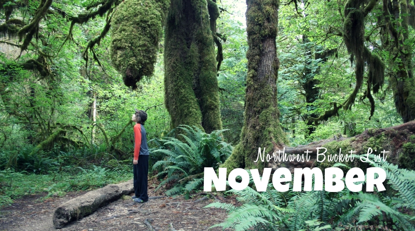Northwest Bucket List: November