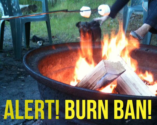 Alert! Campfire burn ban in Washington state