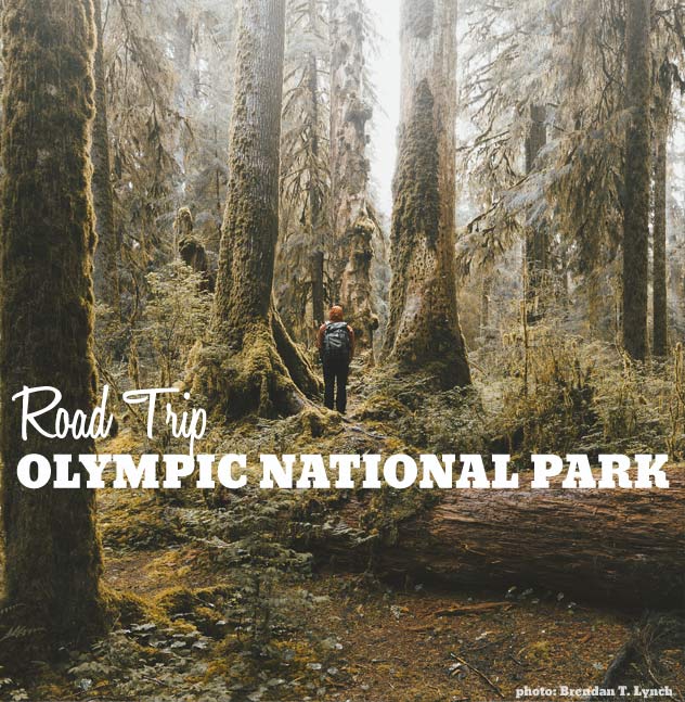 Road Trip: Olympic National Park