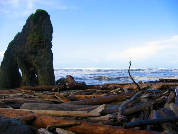 Driftwood Beach in Olympic National Park