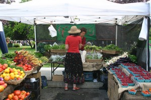 saltspring-farmers-market-by-utahcanuck