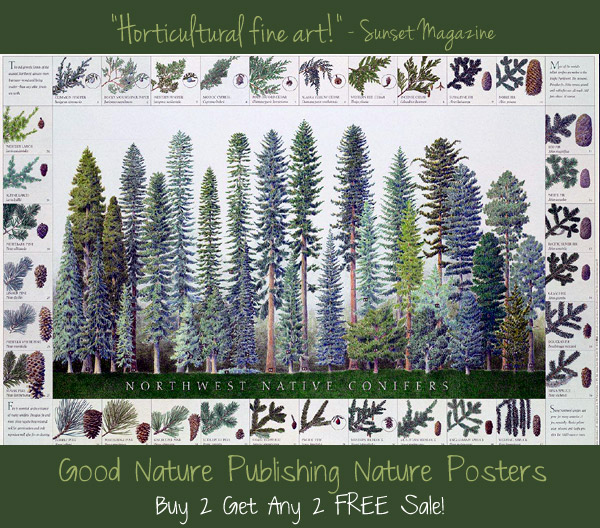 Good Nature Publishing Buy 2 Get 2 Free