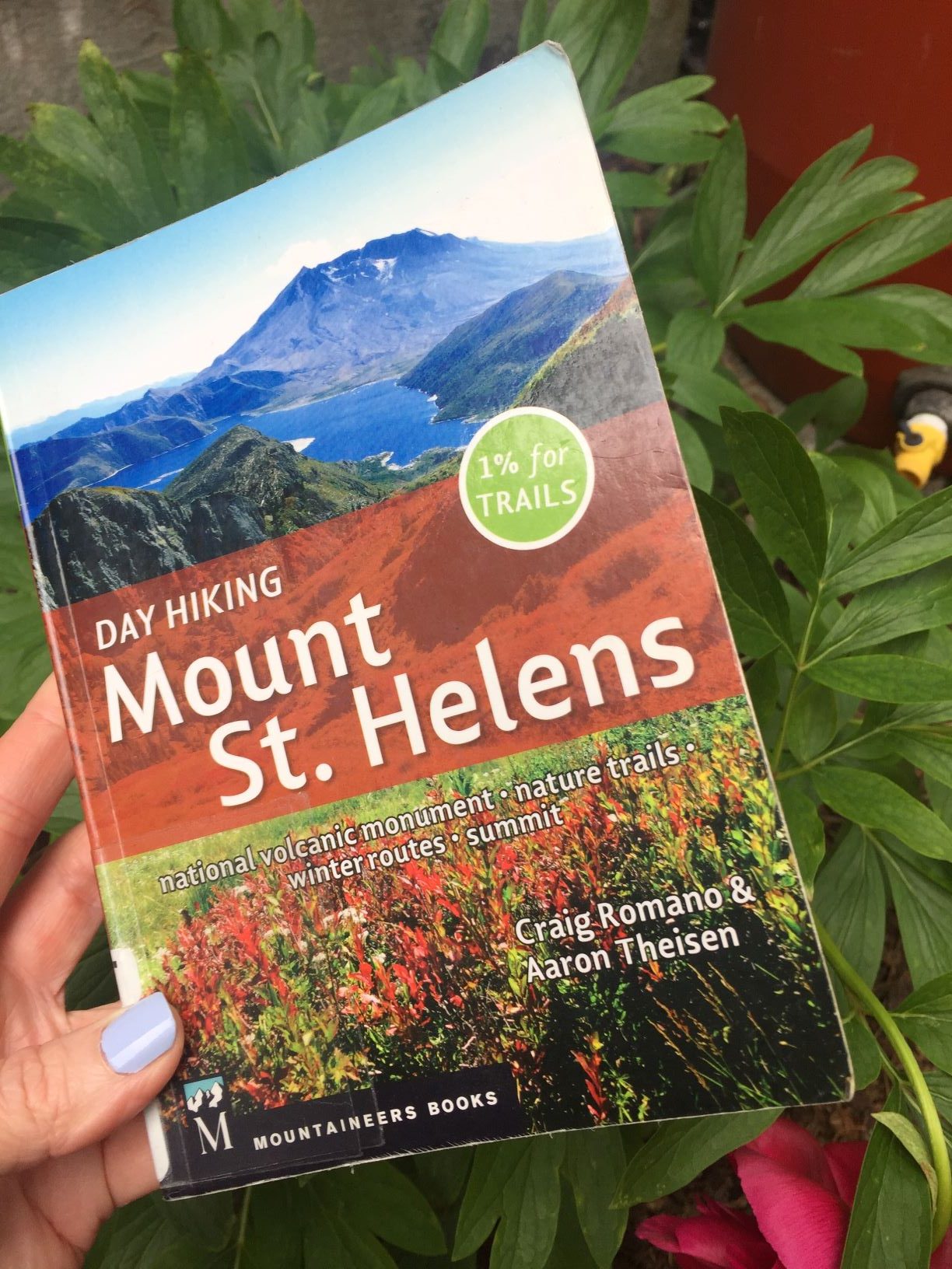 Find Cool Geology at Mount St. Helens