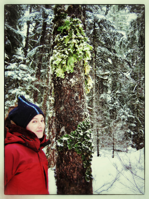 GO: Snowshoeing at Mount Rainier